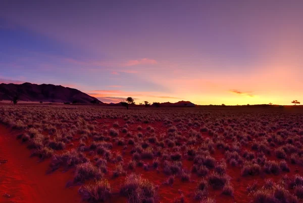 Desert Landscape - NamibRand, Namibia — Stock Photo, Image