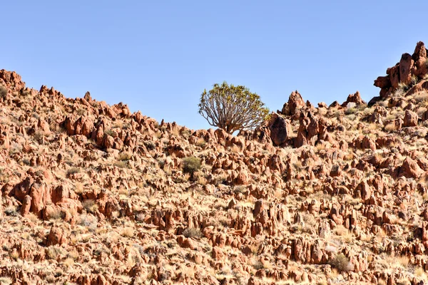 Paisagem do deserto - Namíbia — Fotografia de Stock