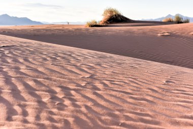 Manzara - Namibrand, Namibia çöl