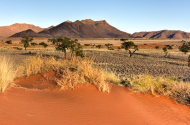 Manzara - Namibrand, Namibia çöl