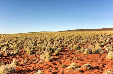 Manzara - Namibrand, Namibia çöl