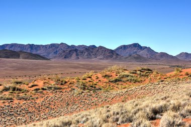 Manzara - Namibrand, Namibia çöl