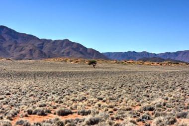 Manzara - Namibrand, Namibia çöl