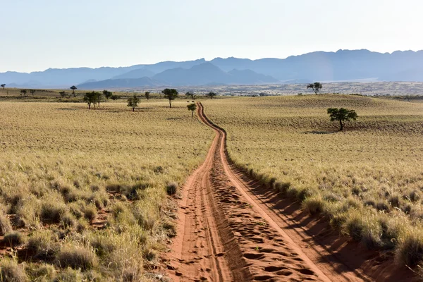 Manzara - Namibrand, Namibia çöl — Stok fotoğraf