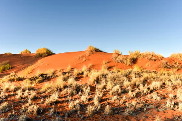 Woestijn landschap - Namibrand, Namibië — Stockfoto