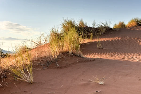 Woestijn landschap - Namibrand, Namibië — Stockfoto