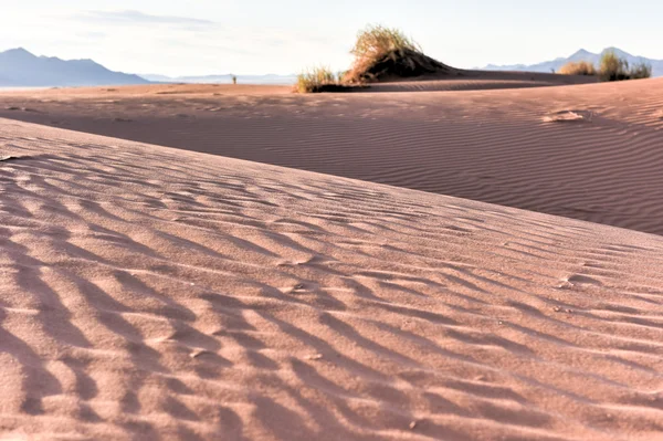 Woestijn landschap - Namibrand, Namibië — Stockfoto