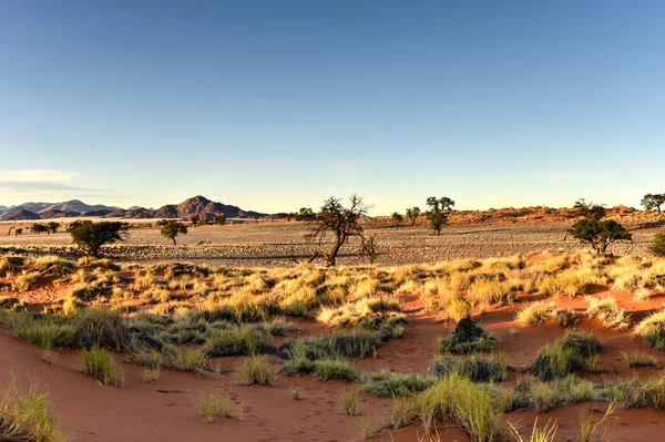 Woestijn landschap - Namibrand, Namibië — Stockfoto