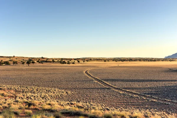 Paysage du désert - NamibRand, Namibie — Photo