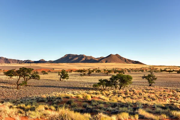 Paisaje del desierto - NamibRand, Namibia — Foto de Stock