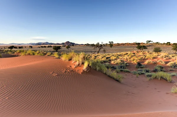 Paesaggio desertico - Namibia, Namibia — Foto Stock