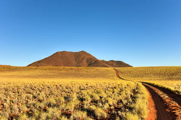 Paisagem do Deserto NamibRand, Namíbia — Fotografia de Stock