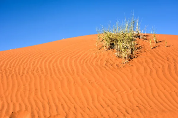 Woestijn landschap - Namibrand, Namibië — Stockfoto