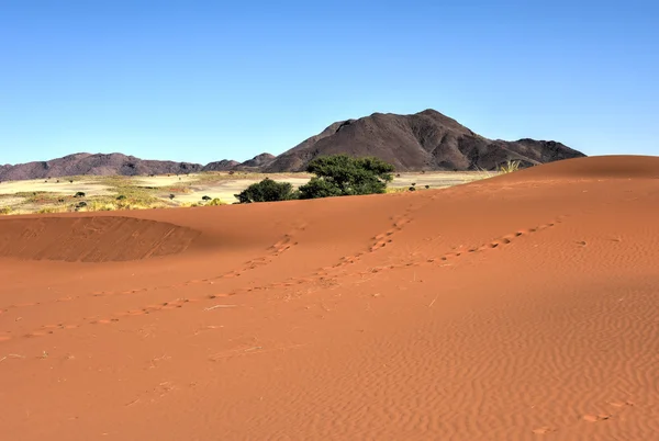 Woestijn landschap - Namibrand, Namibië — Stockfoto