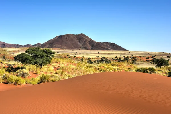 沙漠景观-雉前来，纳米比亚 — 图库照片