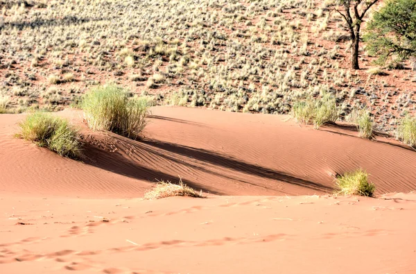 Woestijn landschap - Namibrand, Namibië — Stockfoto