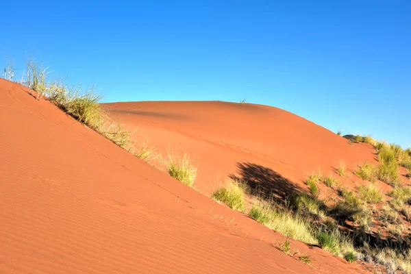 Manzara - Namibrand, Namibia çöl — Stok fotoğraf