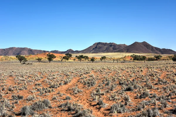 Wüstenlandschaft - namibrand, namibia — Stockfoto