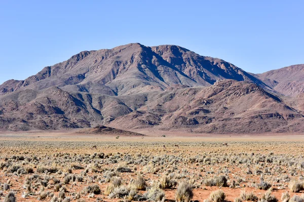 Oryx en woestijn landschap - Namibrand, Namibië — Stockfoto