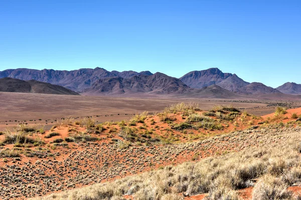 Paisaje del desierto - NamibRand, Namibia —  Fotos de Stock