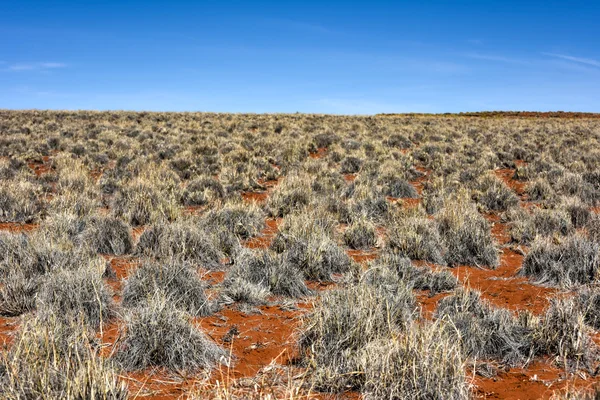 Paisagem do Deserto NamibRand, Namíbia — Fotografia de Stock