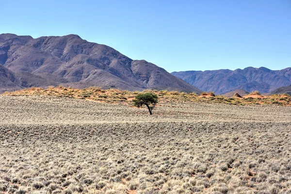 Woestijn landschap - Namibrand, Namibië — Stockfoto