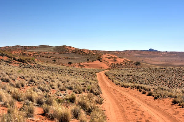 Wüstenlandschaft - namibrand, namibia — Stockfoto