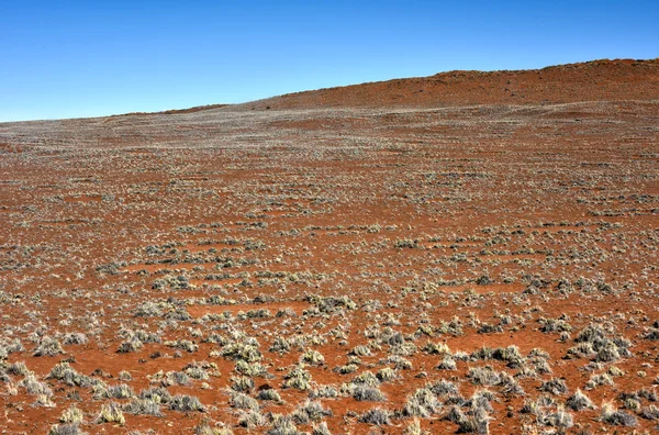 Víla kruhy - Namibie — Stock fotografie