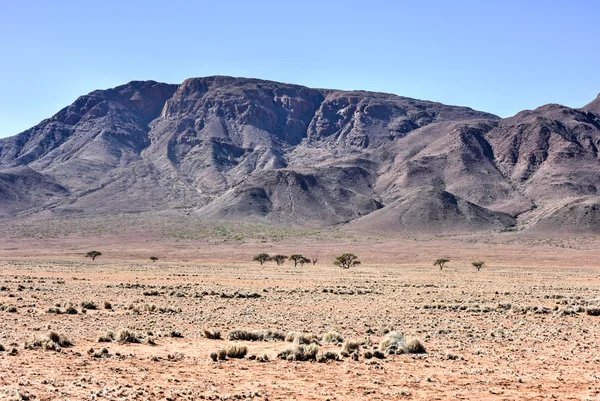 Fairy Circles - Namibia — Stock Photo, Image