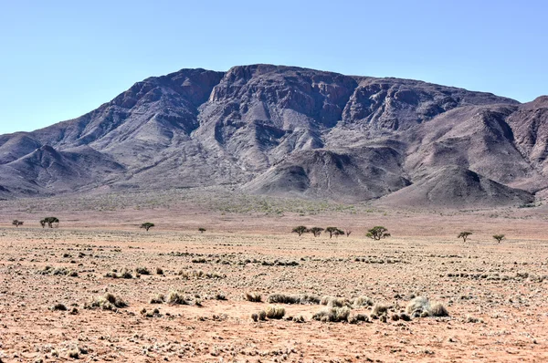 Fairy Circles - Namibië — Stockfoto