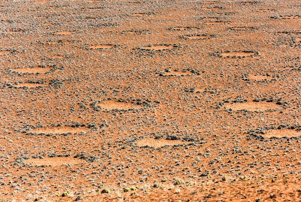 Fairy Circles - Namibia — Stock Photo, Image