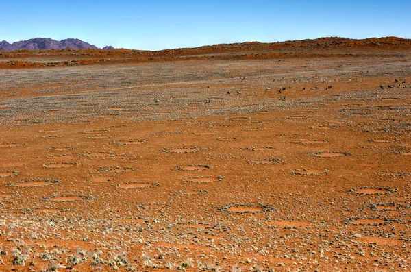 Fairy Circles - Namibië — Stockfoto