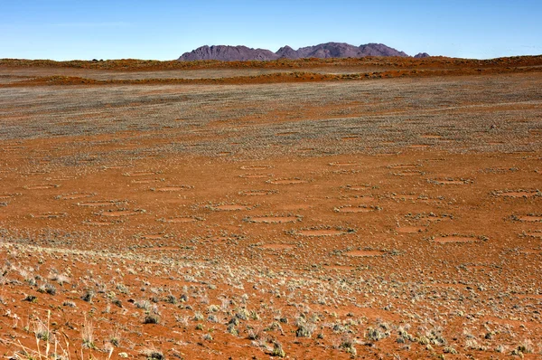 Fairy cirklar - Namibia — Stockfoto