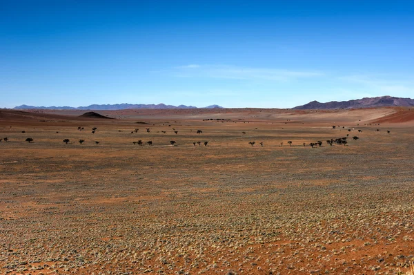 Círculos de hadas - Namibia —  Fotos de Stock