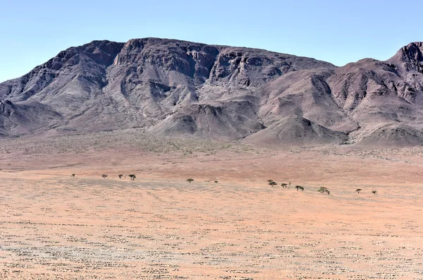 Círculos de fadas - Namíbia — Fotografia de Stock