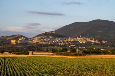 İtalya 'da bir ortaçağ kasabası olan Assisi, akşam ışığında parlıyor. Ortaçağ mimarisi ve Saint Francis Bazilikası ile ünlüdür. Yuvarlanan tepelere karşı beyaz taştan inşa edilmiştir..