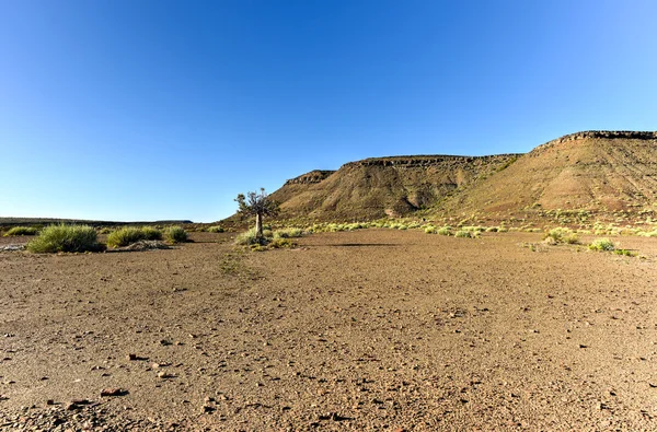 Fish River Canyon-Namibië, Afrika — Stockfoto