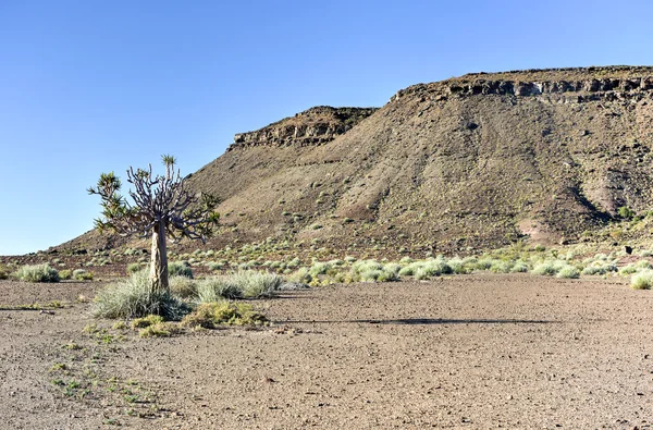 Fish River Canyon-Namibia, África —  Fotos de Stock