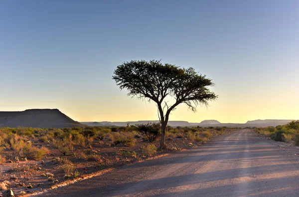 Kanion rzeki rybnej-Namibia, Afryka — Zdjęcie stockowe