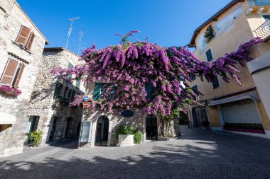 Garda Gölü 'ndeki Sirmione Yarımadası' ndaki tarihi Villa Cortine parkındaki ağaçlandırılmış cadde ve klasik bahçe heykelleri..