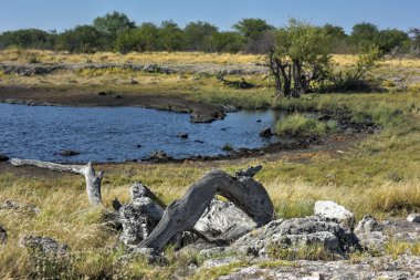 Delik - etkin, Namibya sulama