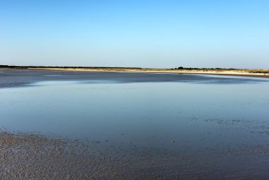 Etosha, Namibia