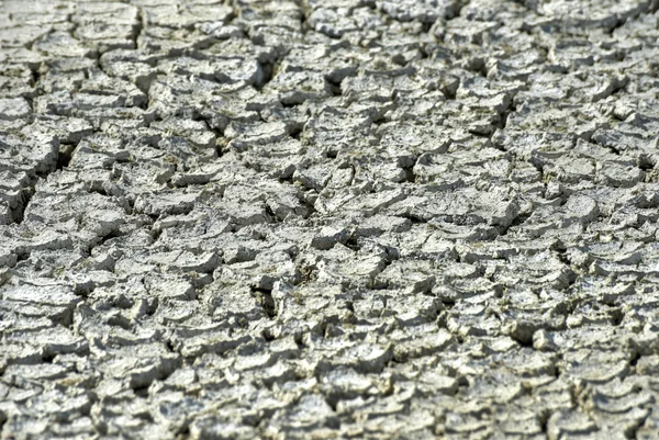 Etosha Salt Pan - Namibia — Stock Photo, Image