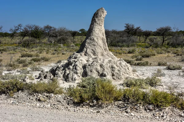 Termite Mound - Namibia — Stock Photo, Image