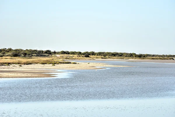 Etosha, Namibia — Foto Stock