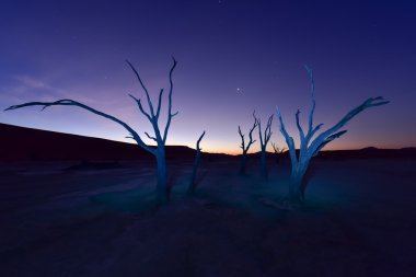 Alacakaranlıkta ölü Vlei, Namibia