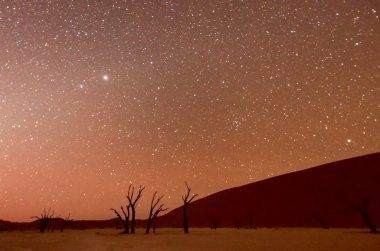 Alacakaranlıkta ölü Vlei, Namibia