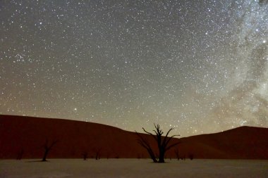 Alacakaranlıkta ölü Vlei, Namibia