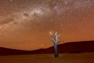 Alacakaranlıkta ölü Vlei, Namibia