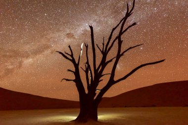 Alacakaranlıkta ölü Vlei, Namibia